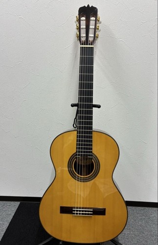 Chitarra acustica classica