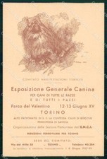 Torino Città Esposizione