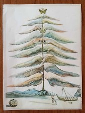 Salvador dali litografia - dali,