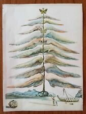 Salvador Dali litografia