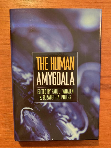 The human amygdala edited - human,
