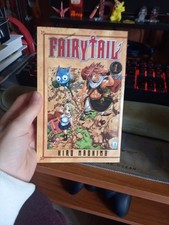 Fairy Tail Vol 1 - Ottime