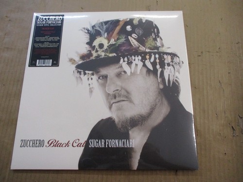 Zucchero black cat - cat,