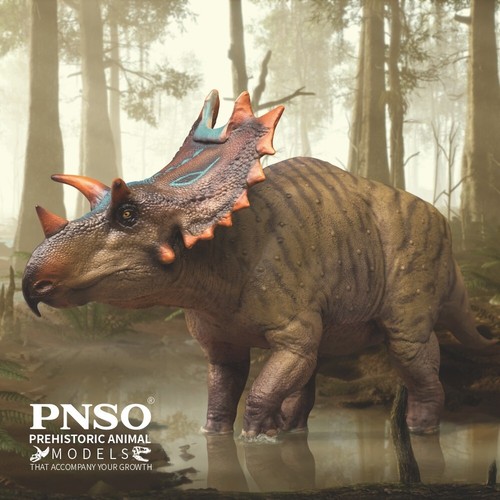 Pnso 2025 judith - pnso,