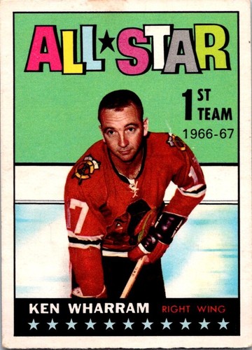 Vintage sport hockey card - vintage,