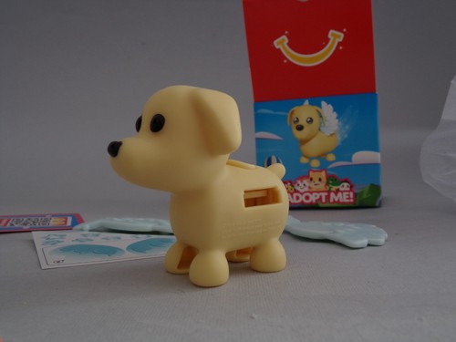 Cane volante adopt - cane,