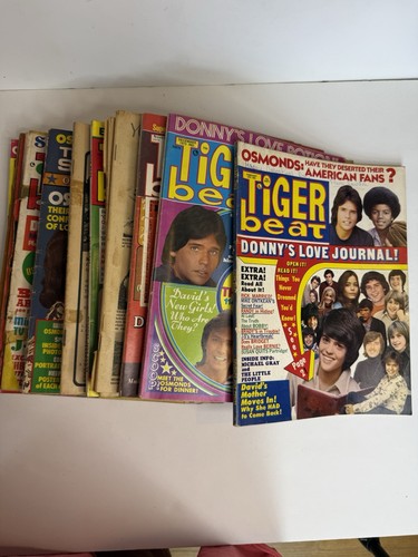 Lot tiger beat magazine - lot,