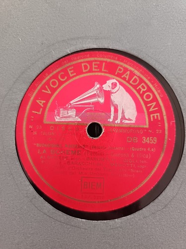 1563 giri gigli albanese - 78,
