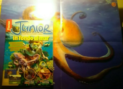 Focus junior 211 - focus,