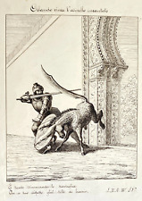 ORLANDO FURIOSO SPLENDIDA