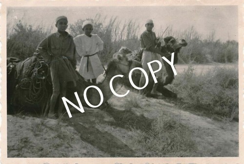Foto ww2 africa corpo africani - ww2,