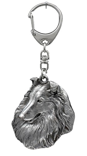 Collie pelo lungo - collie, a