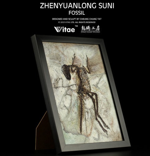 Nuovo vitae - yuan, long)
