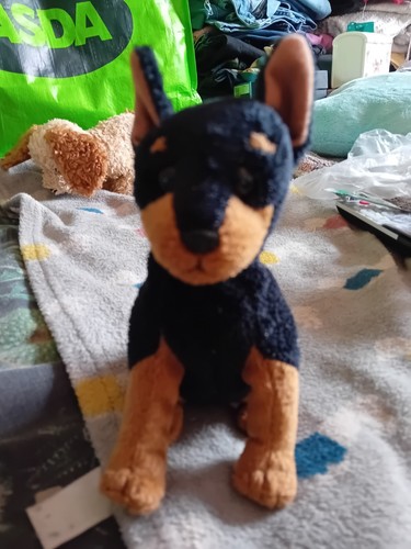 Beanie babies trooper - beanie,