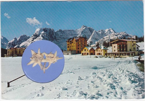 Misurina belluno sorapis - belluno,