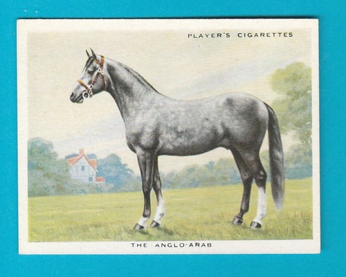Types horses card 9 - card,