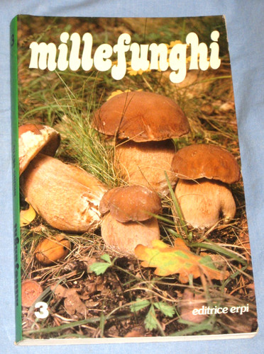 Millefunghi bruno cetto - bruno,