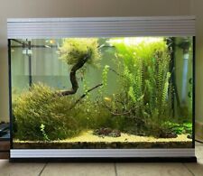 Askoll Pure Marine XL HC LED Bianco Acquario 130L cm76x36x57h+Sistema Filtraggio