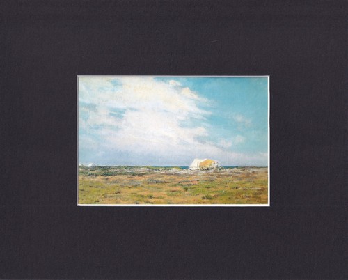 Quadro dipinto arte stampa