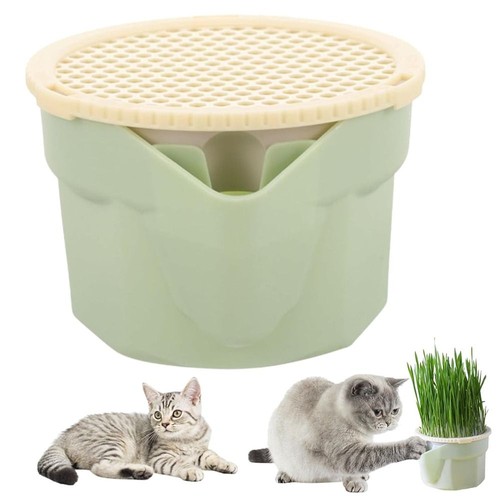 Fioriera per erba gatto facile