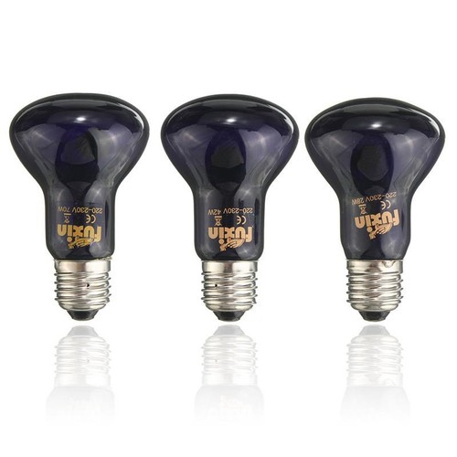 Lampada riscaldante 100 - lampada, w