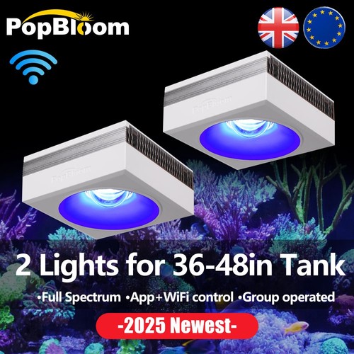 Pezzi popbloom rl90 wifi - pezzi, led