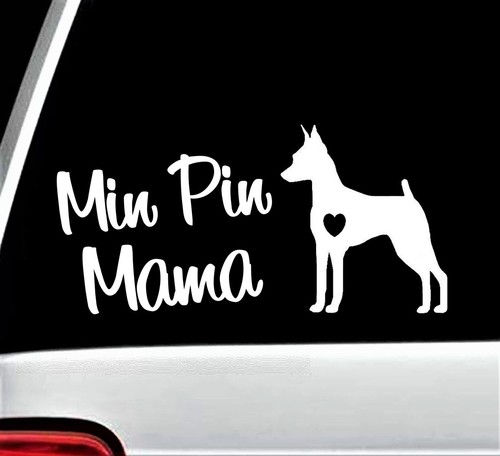 Min pin mamma - mamma, miniatura