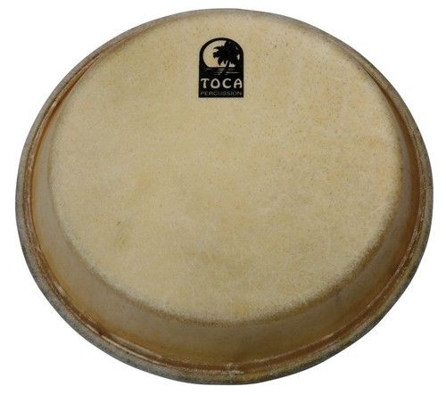 Conga pelli percussioni - conga,