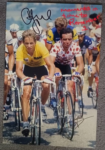Bernard hinault greg - hinault,
