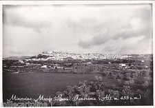 # MINERVINO MURGE: PANORAMA