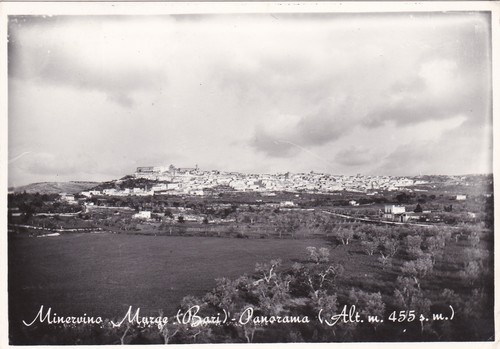 Minervino murge panorama - minervino,