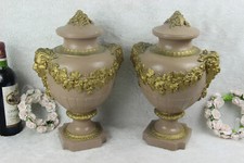 COPPIA antiche urne vasi