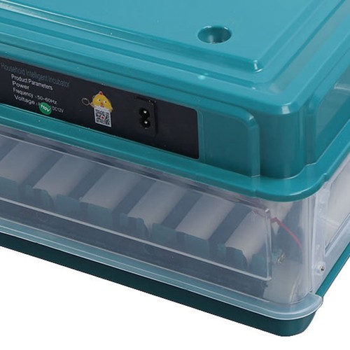 Incubatrice led verde - ̆,