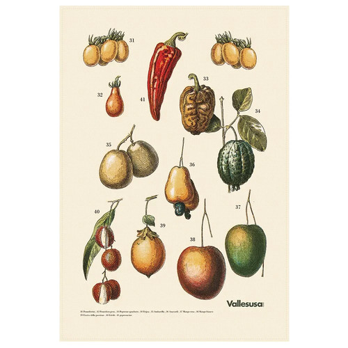 Canovaccio cucina vallesusa - canovaccio,