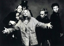 Foto Originale Del Pappagallo