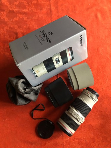 Canon 200mm l is usm - f/4,