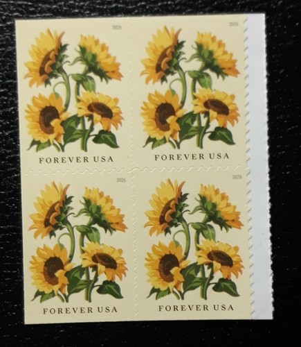 Scott 6067 2026 - us,