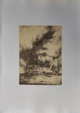 PIACESI WALTER (Ascoli Piceno