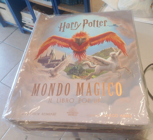 Harry potter mondo - harry, il