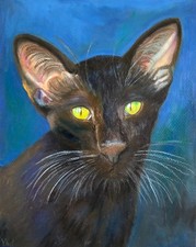 Dipinto orientale pelo corto