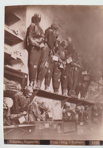 Palermo lotto 4 foto - ,