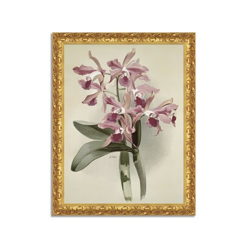 Quadro stampa tela effetto - tela,
