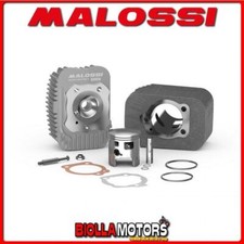 3118734 GRUPPO TERMICO MALOSSI