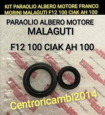 KIT PARAOLIO ALBERO MOTORE