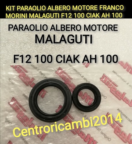 Kit paraolio albero - paraolio,