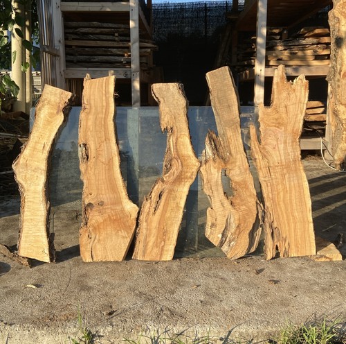 Tavole legno ulivo - tavole, di