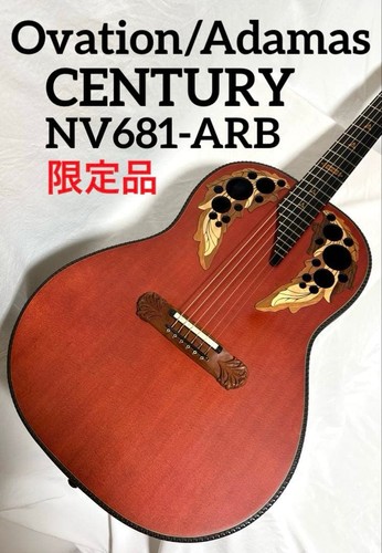 Chitarra elettrica acustica