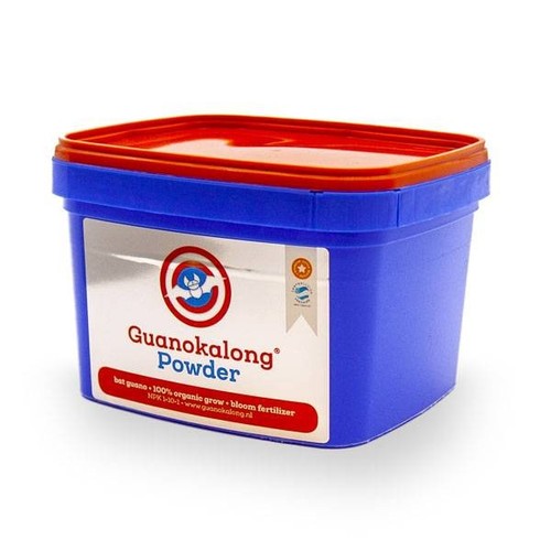 Guano kalong pipistrello in - di,