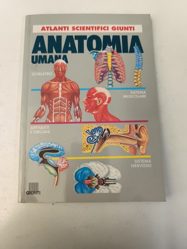 Anatomia umana atlanti - umana,