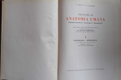 Trattato anatomia umana - trattato,